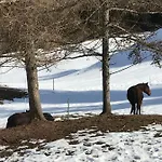 Au Pré Des Chevaux Chateau-d'Oex
