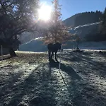 Au Pré Des Chevaux 3* Chateau-d'Oex