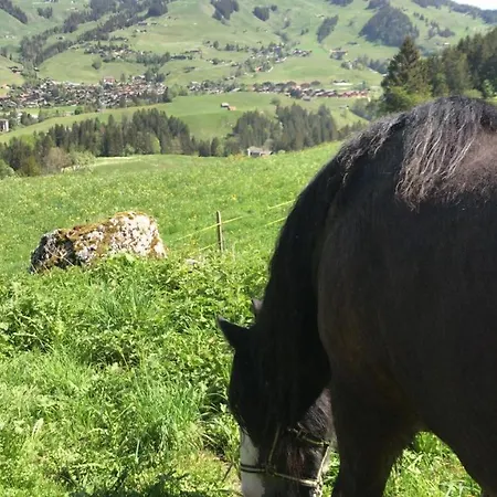 Au Pré Des Chevaux 3* Chateau-d'Oex