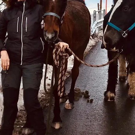 Bed & Breakfast Au Pré Des Chevaux 3*