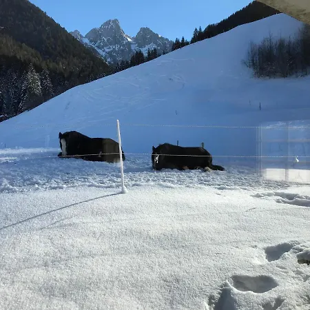 B&B Au Pre Des Chevaux 3*