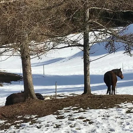 Au Pré Des Chevaux Chateau-d'Oex
