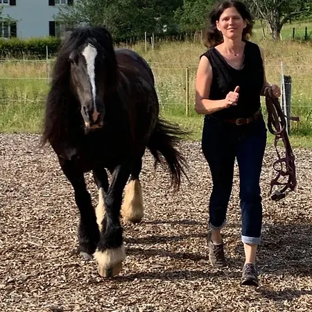 Au Pre Des Chevaux 샤또데