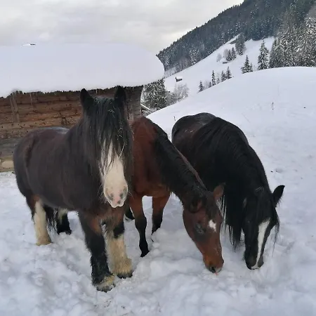 Au Pre Des Chevaux B&B *