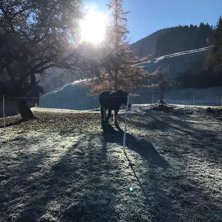 Au Pré Des Chevaux 3* Chateau-d'Oex