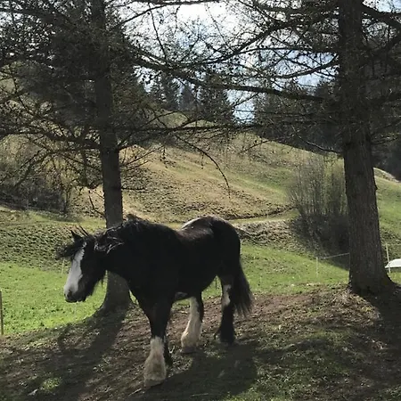 Bed & Breakfast Au Pré Des Chevaux