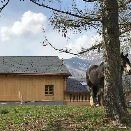 Bed & Breakfast Au Pré Des Chevaux