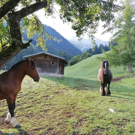 Bed & Breakfast Au Pré Des Chevaux