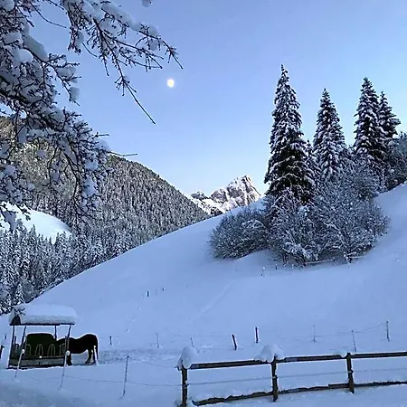 Au Pre Des Chevaux
