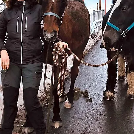 לינה וארוחת בוקר Au Pre Des Chevaux