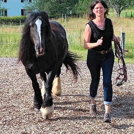 לינה וארוחת בוקר Au Pre Des Chevaux