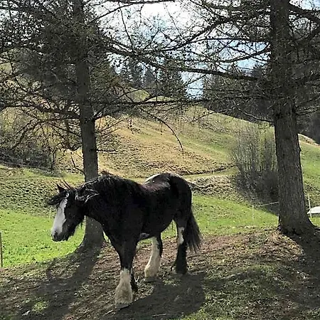 Au Pre Des Chevaux לינה וארוחת בוקר שאטו-דו