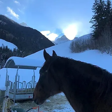 Au Pre Des Chevaux לינה וארוחת בוקר
