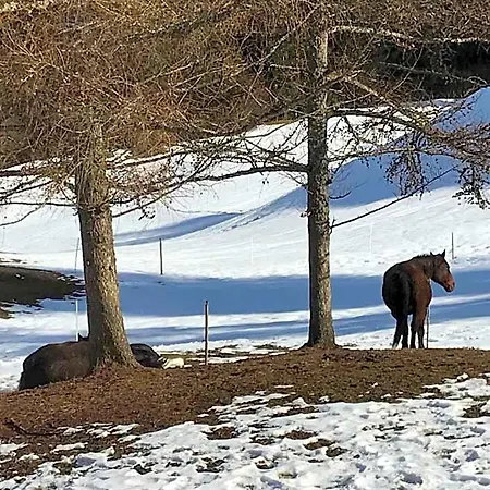 Au Pre Des Chevaux לינה וארוחת בוקר
