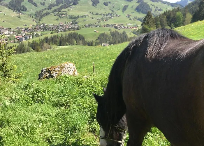Au Pre Des Chevaux 3* Château-d'Oex