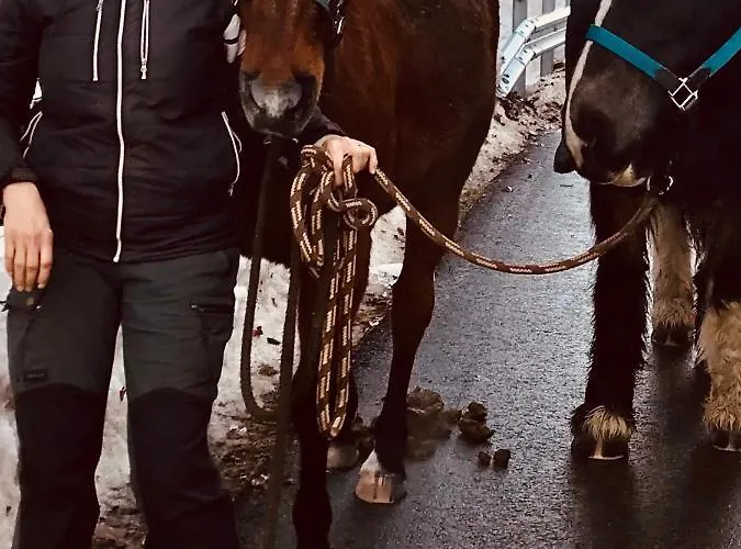 Bed & Breakfast Au Pre Des Chevaux 3*