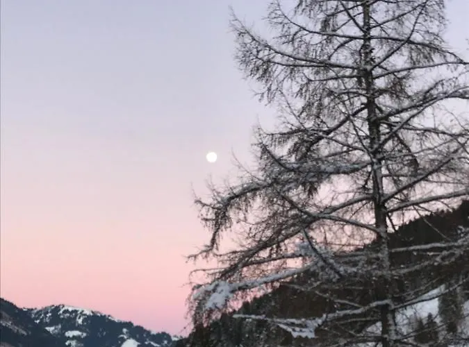 Au Pre Des Chevaux Bed & Breakfast Château-d'Oex