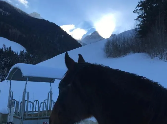 Bed & Breakfast Au Pre Des Chevaux Chateau-d'Oex