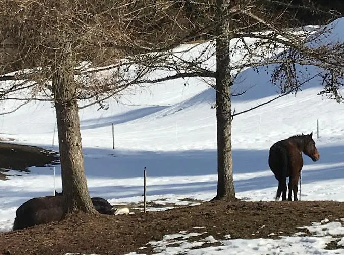 Au Pre Des Chevaux Chateau-d'Oex