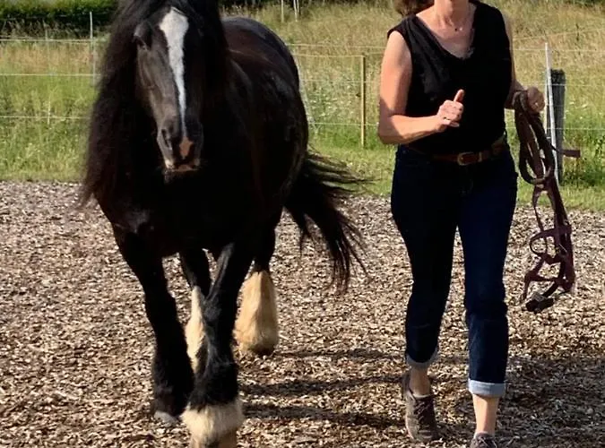 Au Pre Des Chevaux Château-d'Oex