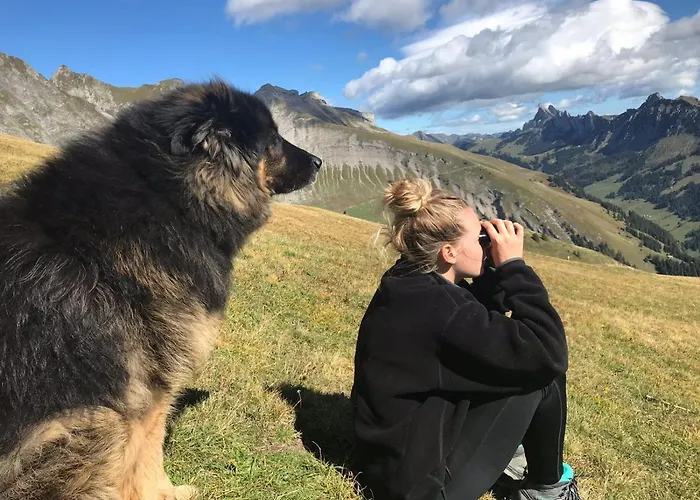 Bed & Breakfast Au Pre Des Chevaux Château-d'Oex