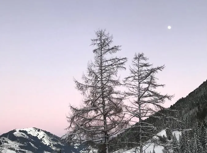 Bed & Breakfast Au Pre Des Chevaux 3*