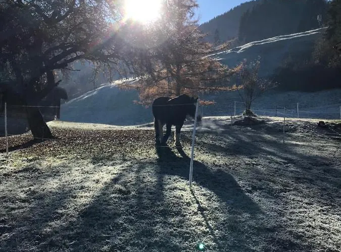 Au Pre Des Chevaux 3* Château-d'Oex
