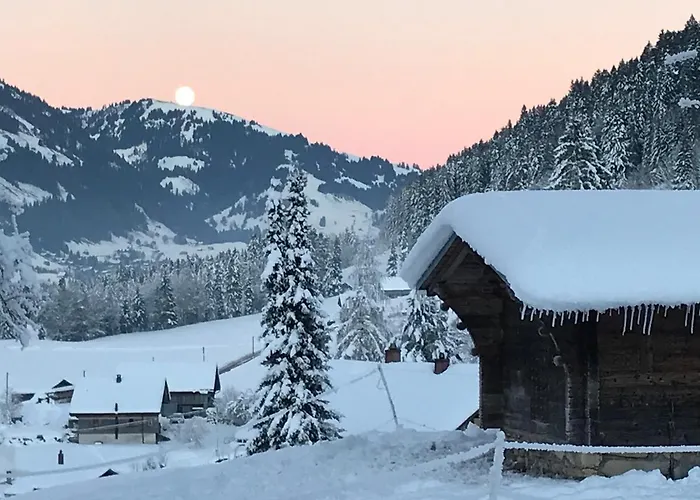 Au Pre Des Chevaux Nocleg ze śniadaniem Chateau-d'Oex