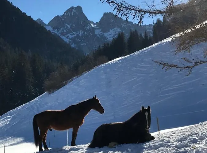 Bed & Breakfast Au Pre Des Chevaux 3*
