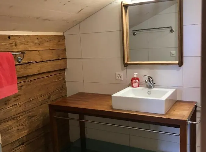 Au Pre Des Chevaux Bed & Breakfast Château-d'Oex