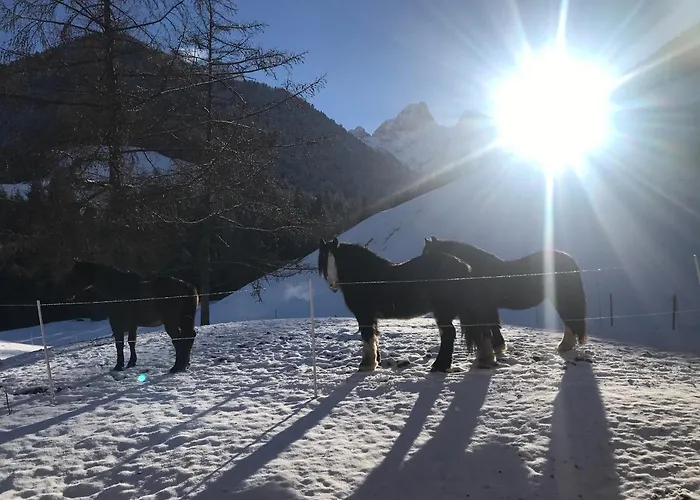 Au Pre Des Chevaux Bed & Breakfast