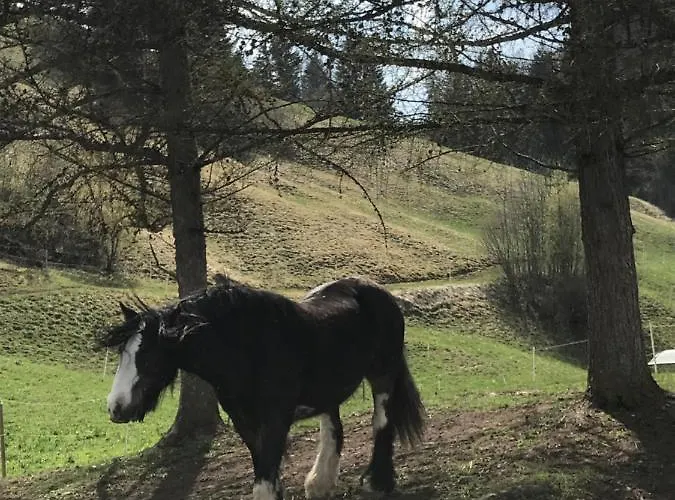 Nocleg ze śniadaniem Au Pre Des Chevaux