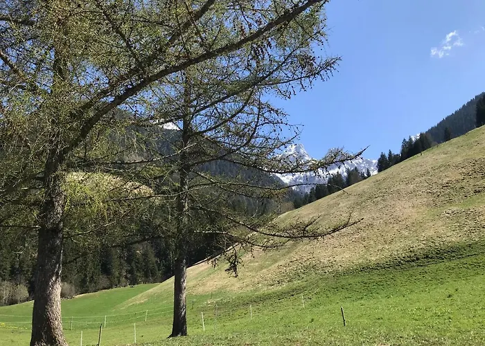 Nocleg ze śniadaniem Au Pre Des Chevaux Chateau-d'Oex