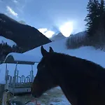 Frühstückspension Au Pre Des Chevaux Chateau-d'Oex
