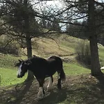 Frühstückspension Au Pre Des Chevaux