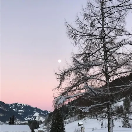 Au Pre Des Chevaux Frühstückspension Chateau-d'Oex