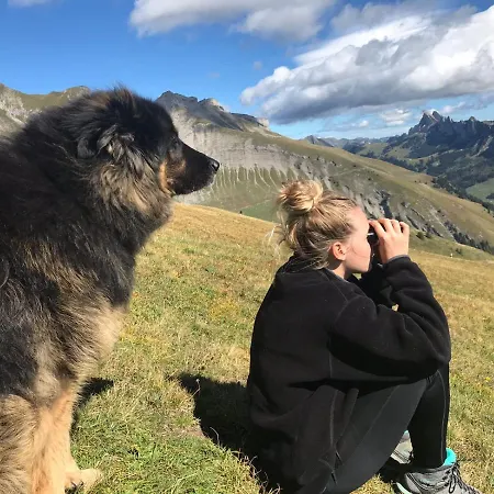 Frühstückspension Au Pre Des Chevaux Chateau-d'Oex