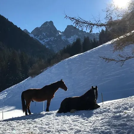 Frühstückspension Au Pre Des Chevaux 3*
