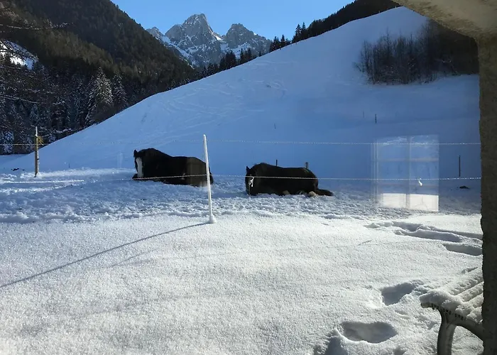 B&B Au Pre Des Chevaux 3*