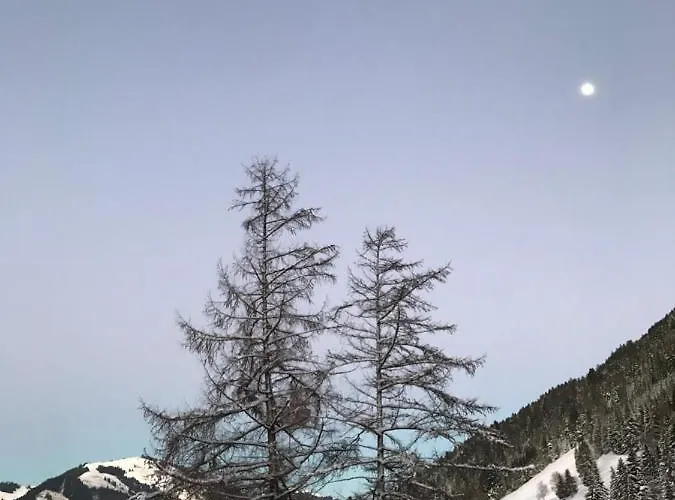 Au Pre Des Chevaux 3*