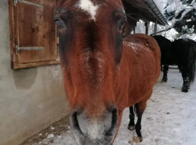 B&B Au Pre Des Chevaux 3*