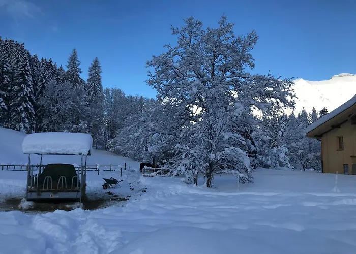 Au Pre Des Chevaux B&B 3*