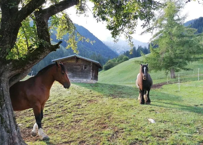 B&B Au Pre Des Chevaux
