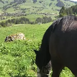 Au Pre Des Chevaux 3* シャトー・デー