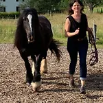 Au Pre Des Chevaux シャトー・デー
