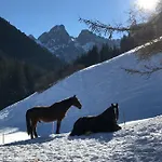 ベッド・アンド・ブレックファスト Au Pre Des Chevaux 3*