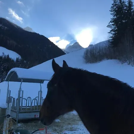 Oda ve Kahvaltı Au Pre Des Chevaux Chateau-d'Oex